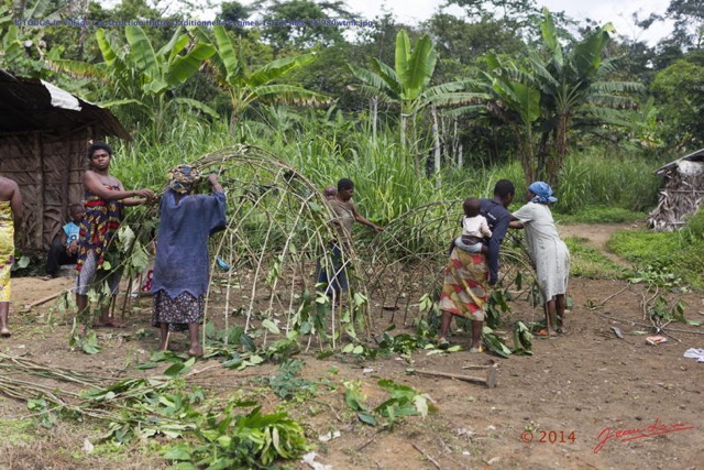 096 BITOUGA le Village Construction Hutte Traditionnelle Pygmee 14E5K3IMG_97980wtmk.jpg