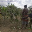 098 BITOUGA le Village Construction Hutte Traditionnelle Pygmee 14E5K3IMG_97994wtmk.jpg