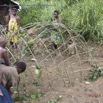 099 BITOUGA le Village Construction Hutte Traditionnelle Pygmee 14E5K3IMG_97998wtmk.jpg