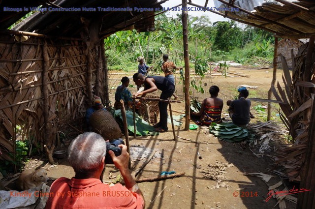 106 Bitouga le Village Construction Hutte Traditionnelle Pygmee et JLA SB14DSC1002847wtmk.jpg