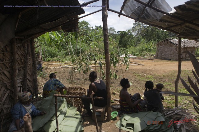 111 BITOUGA le Village Construction Hutte Traditionnelle Pygmee Preparation des Feuilles 14E5K3IMG_97951wtmk.jpg